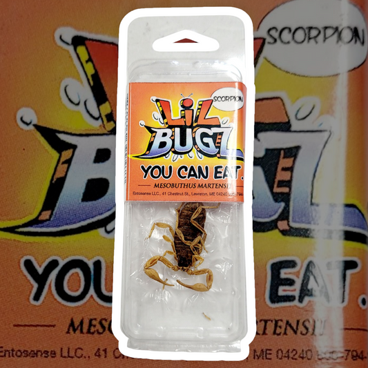 Scorpion Lil Bugz you can eat