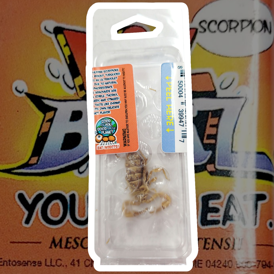 Scorpion Lil Bugz you can eat