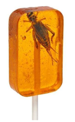 Hotlix Cricket Sucker- Orange 31g
