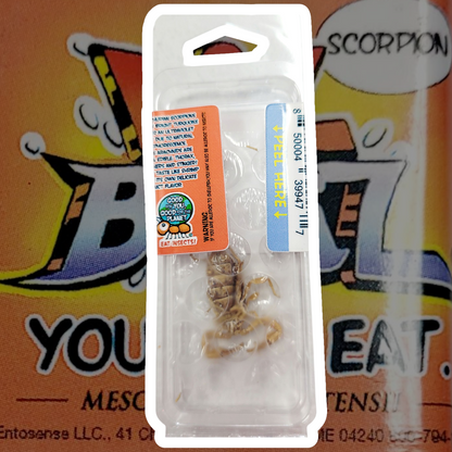 Scorpion Lil Bugz you can eat